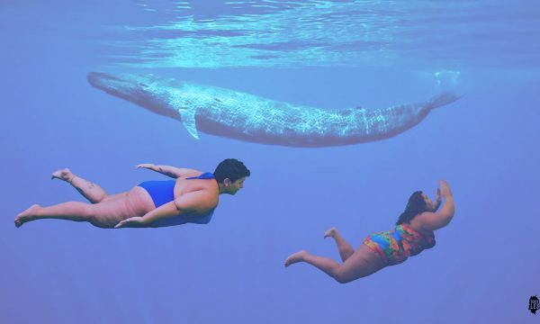 Avec des baleines